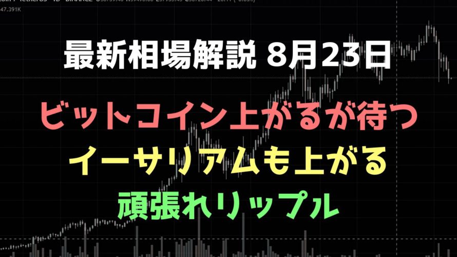 ビットコイン5万ドルに乗せても買わない｜ビットコイン、イーサリアム、リップルの値動きを解説