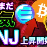 ビットコイン500万円突破！データはまだまだ強気示唆。注目コインをピックアップ！