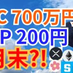 ビットコイン 700万円 ＆ リップル 200円 ８月末?!【仮想通貨 BTC ETH XRP IOST SAND ALICE 相場分析】