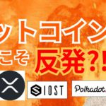 ビットコイン 今夜こそ反発⁉️【仮想通貨 BTC ETH XRP IOST DOT チャート分析】