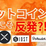 ビットコイン 今夜こそ反発⁉️【仮想通貨 BTC ETH XRP IOST DOT チャート分析】