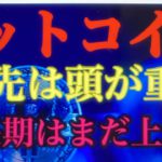 BTC目先は少しの調整か。ビットコインFXチャート分析