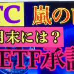 BTC頭も重いが下値も堅い。ビットコインFXチャート分析