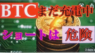 アルトコインの枚数を増やす。ビットコインFXチャート分析
