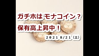 仮想通貨 モナコインMONA保有高上昇中!ガチホが賢い?【8月21日】