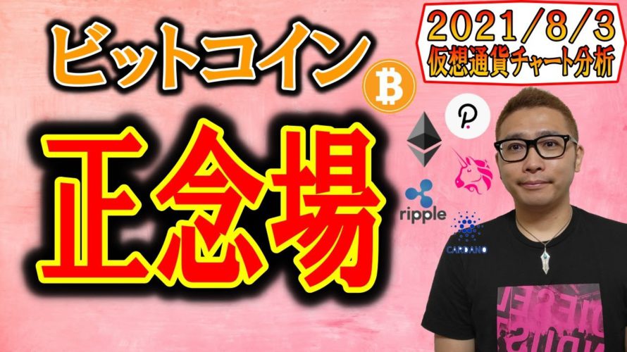 【仮想通貨ビットコイン&アルトコイン分析】ビットコイン正念場!!ここからの展開を数パターン想定する!!
