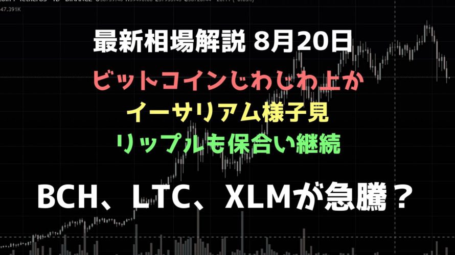 ビットコインキャッシュ、ライトコイン、ステラルーメンを買いました|ビットコイン、イーサリアム、リップルの値動きを解説
