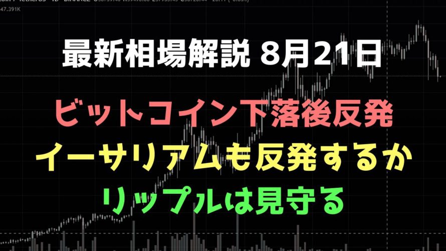 満足感あり下落を想定するが底堅いか|ビットコイン、イーサリアム、リップルの値動きを解説