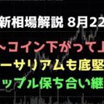 ビットコイン下落しても反発する｜ビットコイン、イーサリアム、リップルの値動きを解説