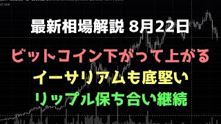 ビットコイン下落しても反発する|ビットコイン、イーサリアム、リップルの値動きを解説