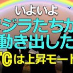 いよいよクジラたちが動き出した。ビットコイン（BTC）は上昇モードへ！