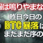 警報は鳴りやまない！昨日今日のビットコイン（BTC）暴落はまだまだ序の口