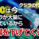 ビットコイン（BTC）は今、クジラが大量に買っているから相場を下げてくる。