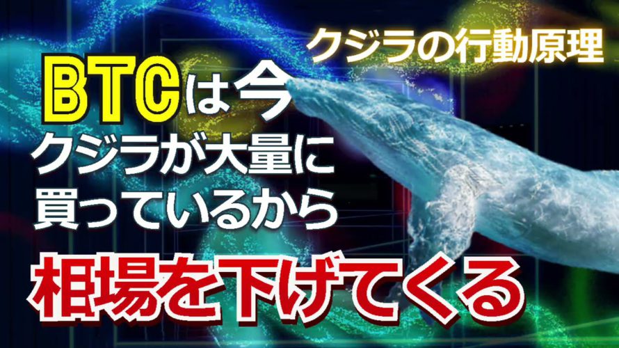 ビットコイン(BTC)は今、クジラが大量に買っているから相場を下げてくる。