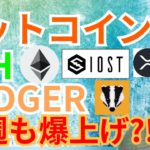 ビットコイン イーサリアム バジャー 来週も爆上げ【仮想通貨 BTC ETH XRP IOST BADGER】