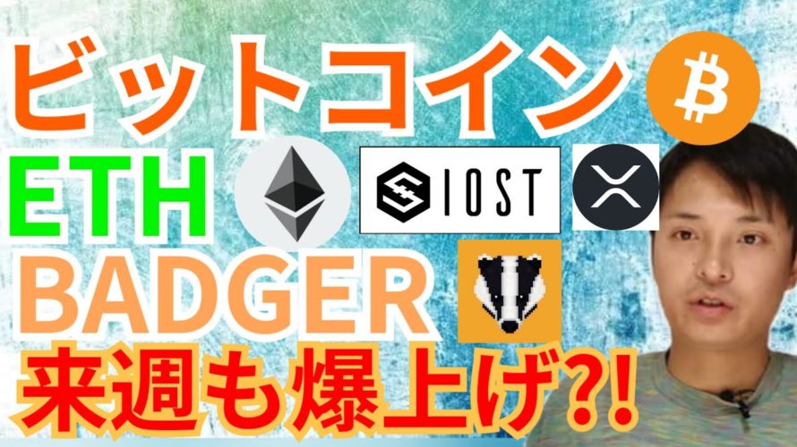 ビットコイン イーサリアム バジャー 来週も爆上げ【仮想通貨 BTC ETH XRP IOST BADGER】