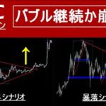 【ビットコイン BTC】バブルの結末はこの2つのどちらかのシナリオになります。