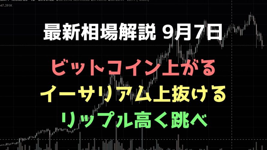 XRP to the moon(ダマシじゃなければ)|ビットコイン、イーサリアム、リップルの値動きを解説