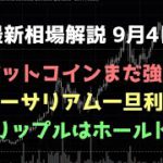 上髭になってしまったがまだ強気｜ビットコイン、イーサリアム、リップルの値動きを解説