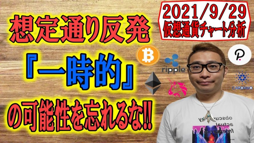 【仮想通貨ビットコイン&アルトコイン分析】想定通りの反発!!『一時的』な可能性を忘れるな!!