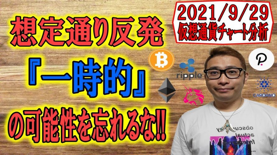 【仮想通貨ビットコイン＆アルトコイン分析】想定通りの反発!!『一時的』な可能性を忘れるな!!