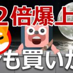 シバイヌが10月に12倍の爆上げ！今も買いか？