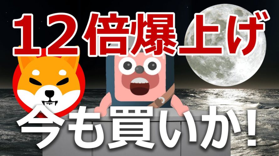 シバイヌが10月に12倍の爆上げ!今も買いか?