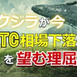 クジラが今、ビットコイン（BTC）相場下落を望む理屈