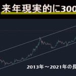 【ビットコイン BTC】バブルがまだまだ継続する理由。長期視点で解説。将来価格予想と年末価格予想。