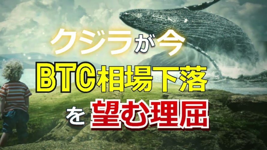 クジラが今、ビットコイン(BTC)相場下落を望む理屈