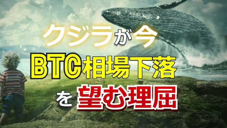 クジラが今、ビットコイン（BTC）相場下落を望む理屈