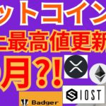 ビットコイン 史上最高値 更新 は○月⁉️【仮想通貨 BTC ETH XRP IOST BADGER チャート分析】