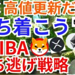 ビットコイン高値更新だが落ち着こう🌿シバイヌ勝ち逃げ戦略とは⁉️【仮想通貨 BTC ETH XRP IOST SHIB チャート分析】