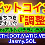 🔥ビットコインが調整中‼️光アルトコインがチラホラと☺️👍重要ラインをブレイクしているのは❗️❓【仮想通貨 BTC.ETH.DOT.MATIC.VET.Reef.Jasmy.SOL】