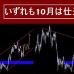 【ビットコイン BTC】バブル再開シナリオ2パターン。どっちになっても10月は仕込み時。