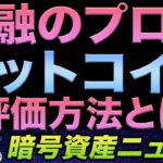 ビットコインに本源的な価値はない？JPモルガン社長を黙らせる金融のプロによるBitcoin評価アプローチ紹介