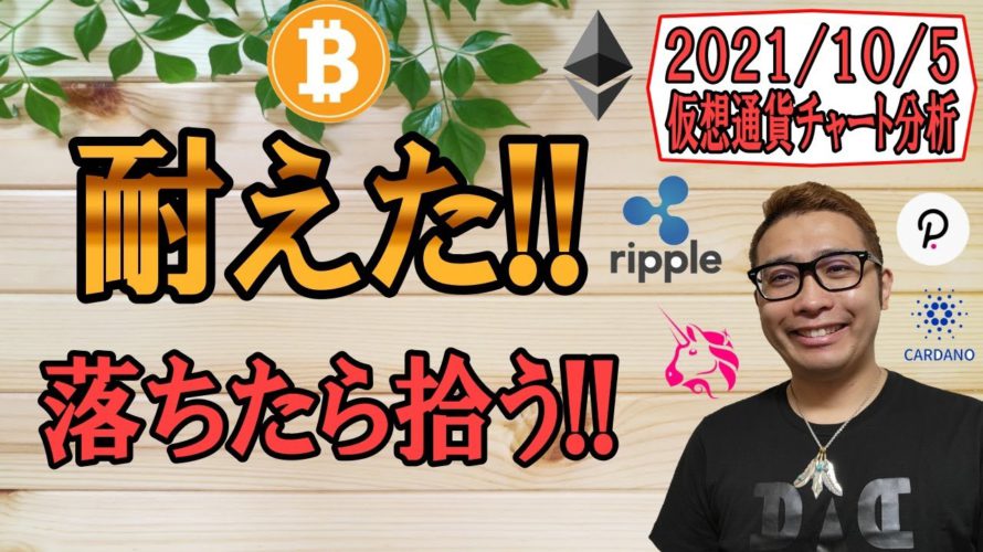 【仮想通貨ビットコイン&アルトコイン分析】ギリギリ耐えた!!落ちたら拾う!!