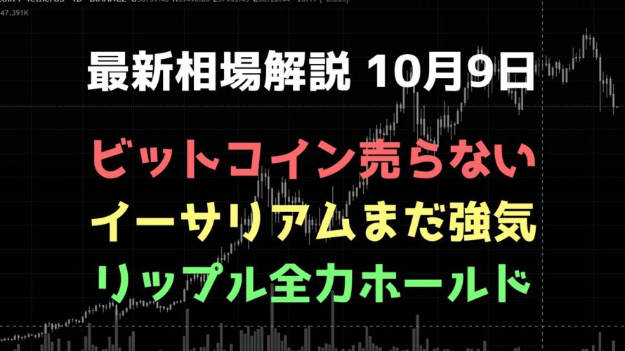 弱い形だが全力でホールドする|ビットコイン、イーサリアム、リップルの値動きを解説