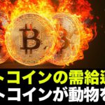 ビットコインの需給が逼迫で上昇期待は高まる！仮想通貨市場はビットコインを追いかける！