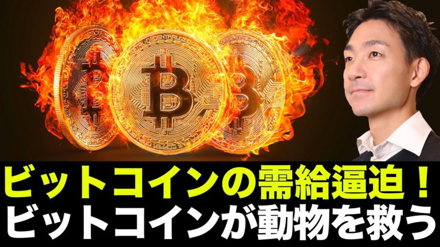ビットコインの需給が逼迫で上昇期待は高まる!仮想通貨市場はビットコインを追いかける!
