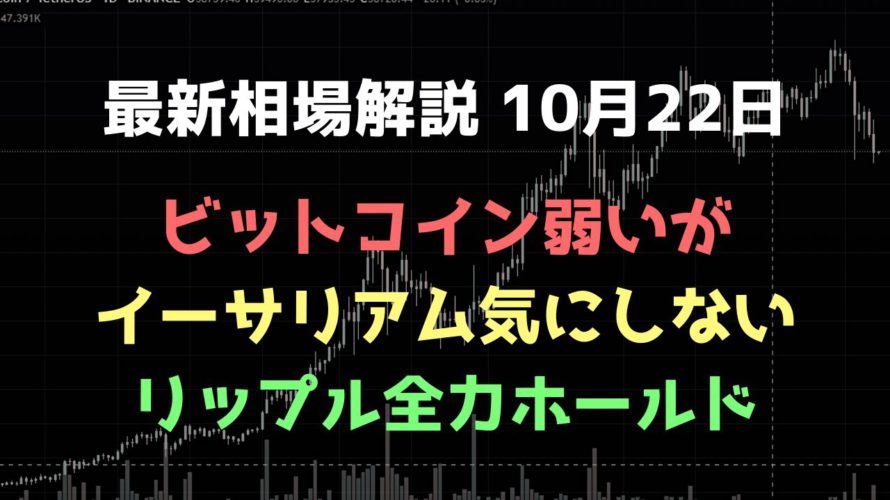 下がったが売らない｜ビットコイン、イーサリアム、リップルの値動きを解説