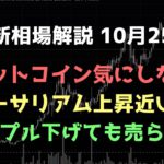 下がっても気にしない｜ビットコイン、イーサリアム、リップルの値動きを解説