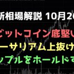 淡々とホールドする｜ビットコイン、イーサリアム、リップルの値動きを解説