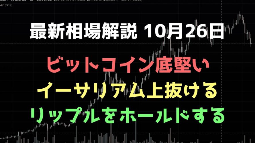 淡々とホールドする|ビットコイン、イーサリアム、リップルの値動きを解説