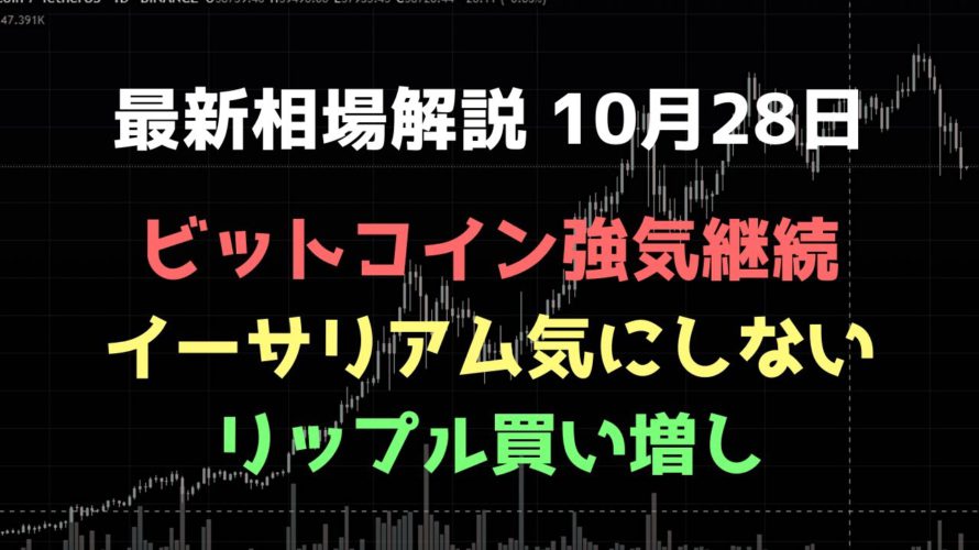短期的に弱いが気にしない|ビットコイン、イーサリアム、リップルの値動きを解説