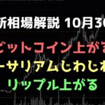 リップルが上がる｜ビットコイン、イーサリアム、リップルの値動きを解説