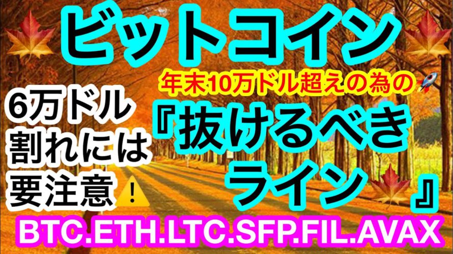 🍁11月に突入‼️スタートは6万ドル割れを警戒する流れ🍁2021年もラスト2ヶ月✨10万ドルへの大ジャンプに期待💋【仮想通貨 BTC.ETH.LTC.SFP.FIL.AVAX】