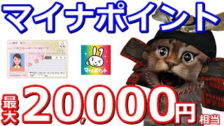 最大2万円が貰えるマイナポイント！支給される条件や今からやっておくべき事を解説【PayPay,d払い,auPAY】