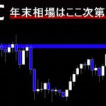 【ビットコイン】6万ドルの攻防次第で年末シナリオが決まる。過去チャート用いて解説。BTC分析。