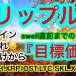 🚀ビットコインとイーサリアムの理論的目標価格が‼️🤣リップルよ😑待っているぞ💋【仮想通貨 BTC.ETH.XRP.IOST.LTC.SKL.XYM.LSK】